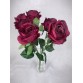 AFL0646 Bukiet 5 Róż kolor 6